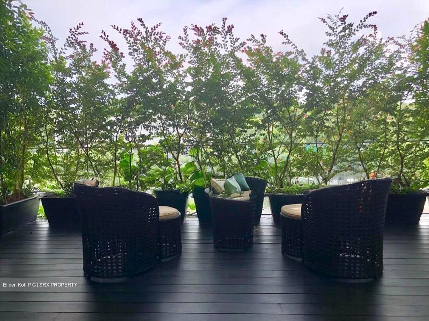 8 Napier (D10), Condominium #585213081